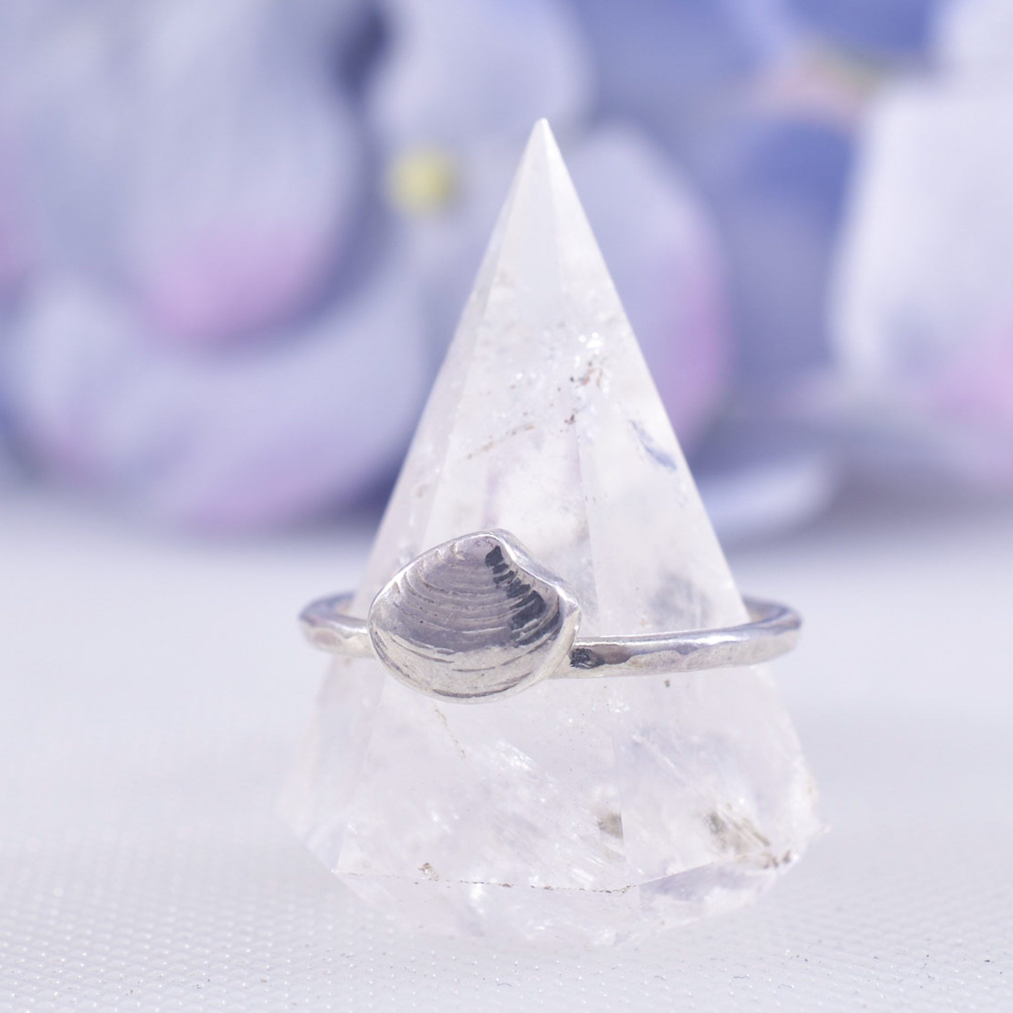 Sterling silver 3d clam shell hammered band ring