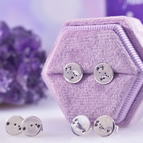 Sterling Silver Zodiac Constellation Studs